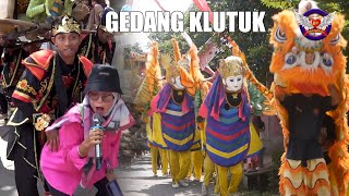 Gedang Klutuk ⭐️ Burok Bintang Panorama ✪ Munjul 14-01-2023