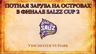 ПОТНАЯ ЗАРУБА НА ОСТРОВАХ В ФИНАЛЕ | Vinchester vs Dark SalzZ Cup 2