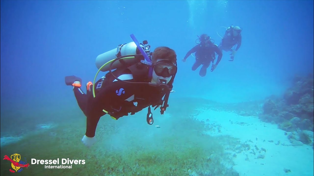 Montego Bay Marine Park Excursion by Dressel Divers YouTube