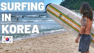 한글 My Favorite Place In Korea Surfing In Yangyang 양양군Ucc공모전