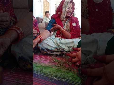 gangur puja #gangur #shorts #ytshorts