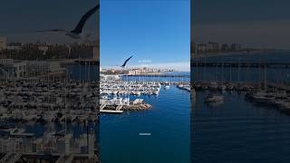 📍ALMERÍA 🇪🇦 Europe's Sunniest City Walking Tour - Andalusia's Most Oriental Capital #spain #4kwalk News