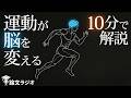運動が脳を物理的に書き換える。影響を10分で全解説【論文解説】