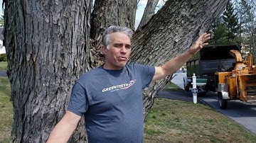 Why reduction pruning