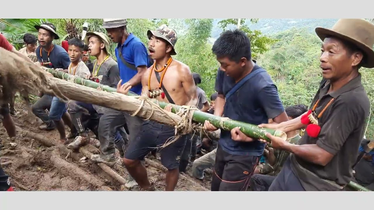The traditional way of pulling log drum Episode 3 | YAKSHU JANANG TIGER | Konyak Naga