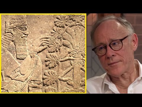 Psychedelics Triggered Our Evolution #podcast #grahamhancock #science #history #ancient #amazon