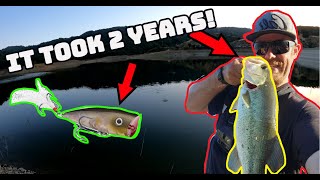 Finally! Topwater Bass (Fishing Stevens Creek Reservoir)
