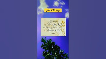 سورة الإخلاص بصوت ال #بصوت #الشيخ فارس عباد #اكسبلور