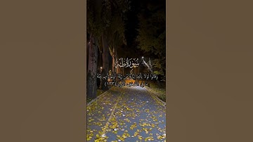 تلاوة من القرآن الكريم من سورة طه مع أحمد محمد نور (ابن تيمية) #اكسبلور #القرآن_الكريم #quran