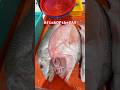 [4K]HONIARA SOLOMON ISLANDS FISH IS EVERYWHERE, FRESH &amp; CHEAPEST BY THE ROADSIDE #shortvideo #shorts