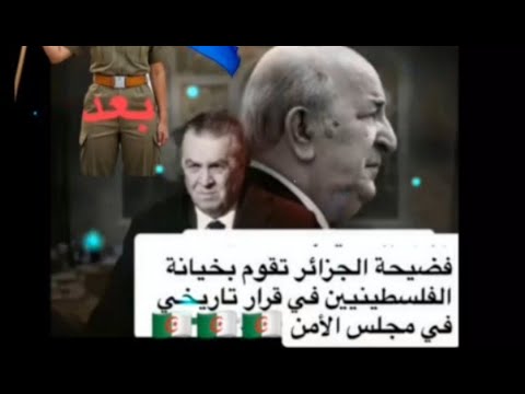 النظام الجزائري يصفع كتائب القسام و تصوت لصالح اسرائيل بنعم