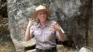 Yosemite Deaf Services: Access Pass
(TURN CAPTIONS ON using CC icon in lower right corner of screen.) The Access Pass is for US Citizens or permanent residents with a permanent disability. The Access Pass allows holders free entry into all national parks. This video explains who is eligible for an Access Pass and how to get one. More information is available at http://store.usgs.gov/pass/access.html
(American Sign Language with English captions) For an audio described version of this video, go to https://youtu.be/pYme9OTbr14 Yosemite Deaf Services: Access Pass