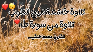 القارئ محمد النقيب تلاوة خاشعة من سورة طه | يومئذ يتبعون الداعي