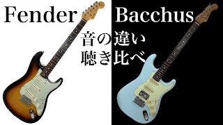 Fender vs Bacchus 音の違い聴き比べ