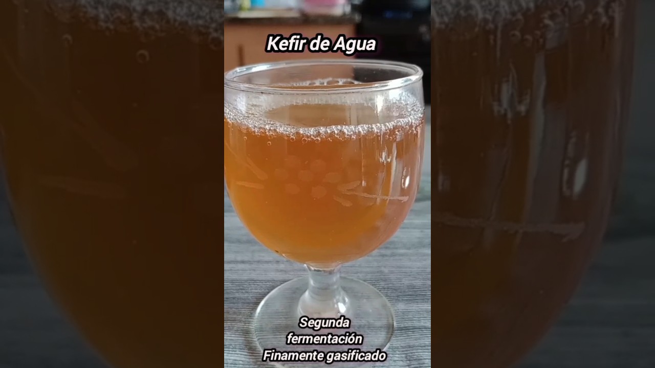 Kéfir de Agua Bebida Probiótica – Amor Cosecha