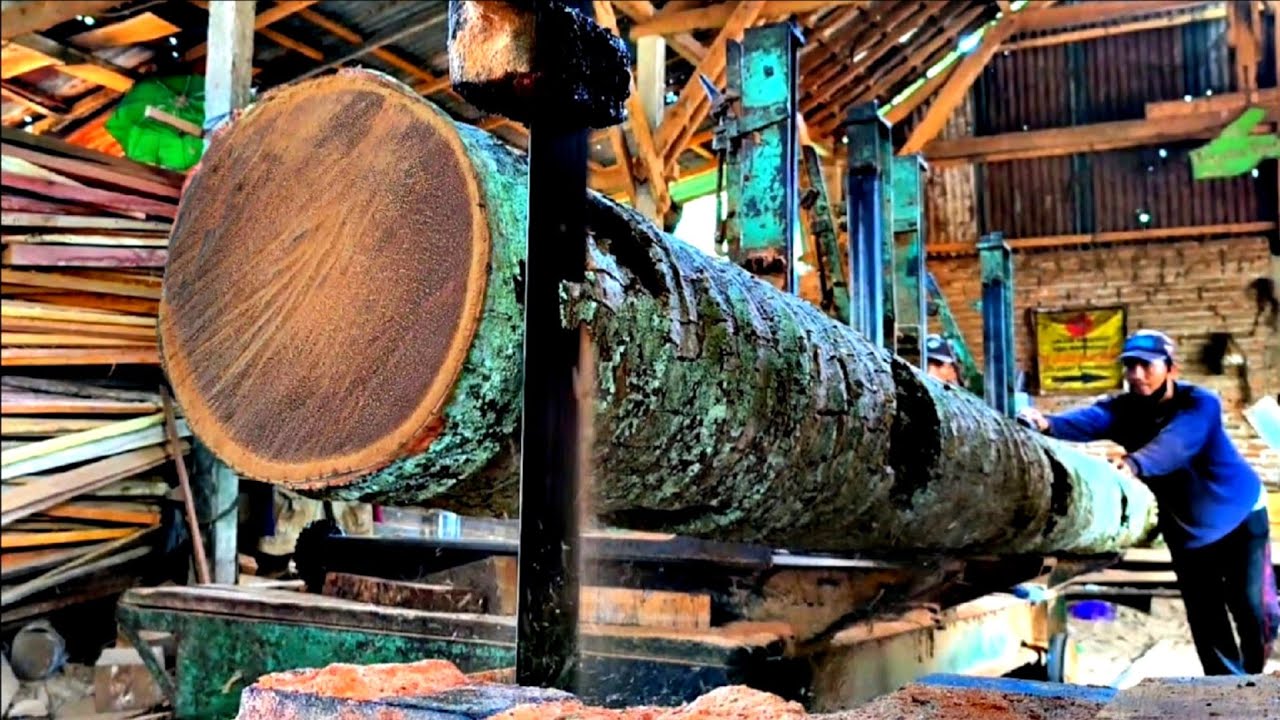 Massive Log Sliced into Timber! Sawmill Power in Action - YouTube