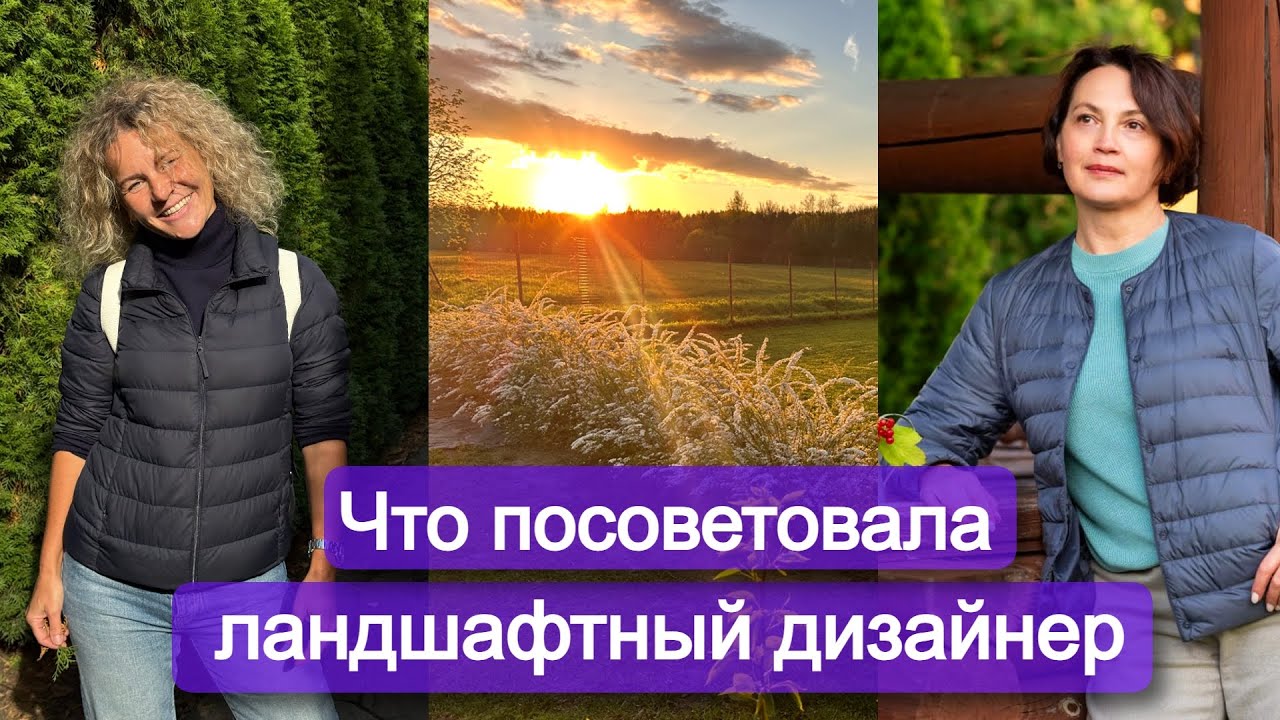 Как правильные вопросы дизайнера изменили всю концепцию моего сада