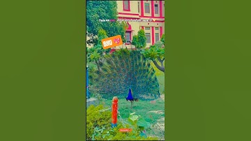 Banaras Hindu University 💖 #bhuadmission2025 #bhucutoff merit list #shortsfeed