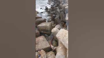 آيات من القرآن الكريم #الطبيعية #البحر