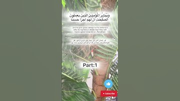 Surah alkahaf Quran Kareem سورة الكهف آية1-6 part:1