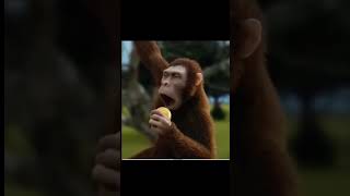 Evolution of life and why monkeys failed to become human🤯