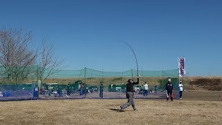 2017 JSCF NEW YEAR COMPETITION