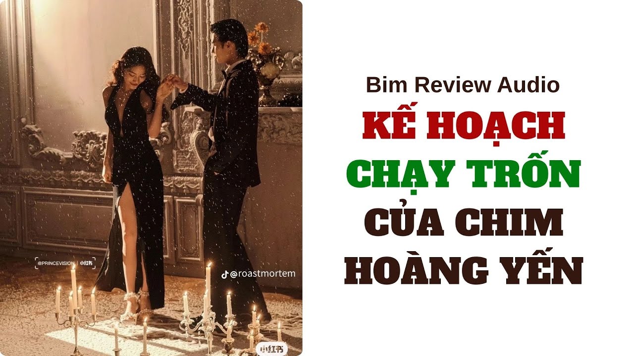 [ FULL AUDIO ] KẾ HOẠCH CHẠY TRỐN CỦA CHIM HOÀNG YẾN II BIM