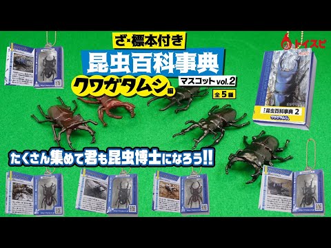 ざ・標本付！昆虫百科事典マスコットVOL.2 クワガタムシ編 - YouTube