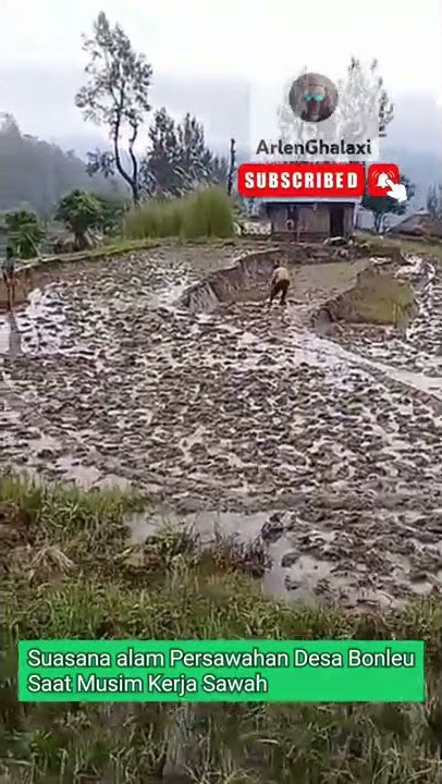 Suasana alam Desa Bonleu TTS-NTT