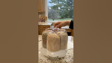 Food Storage Container 360 Rotating Rice Barrels Sealed Cereal Dispenser #kitchen #cooking