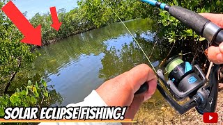 Fishing During the SOLAR ECLIPSE for Whatever BITES! (Saltwater Fishing in South Florida)