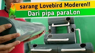 Glodok Lovebird dari pipa paraLon - cara Membuat GeLodok Burung Lovebird