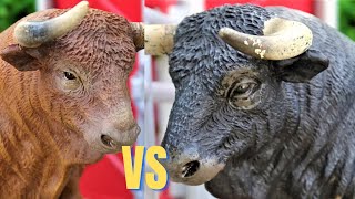 Bull Fight Stop Motion Toros Bulls Touros