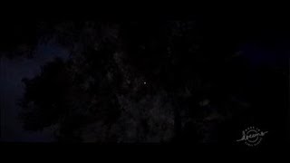 Ps4 Dreams Halloween Onslaught Game, Proof Of Concept