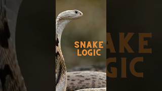 EZ LOGIC #logic #logicgame #math #snake #promoshorts
