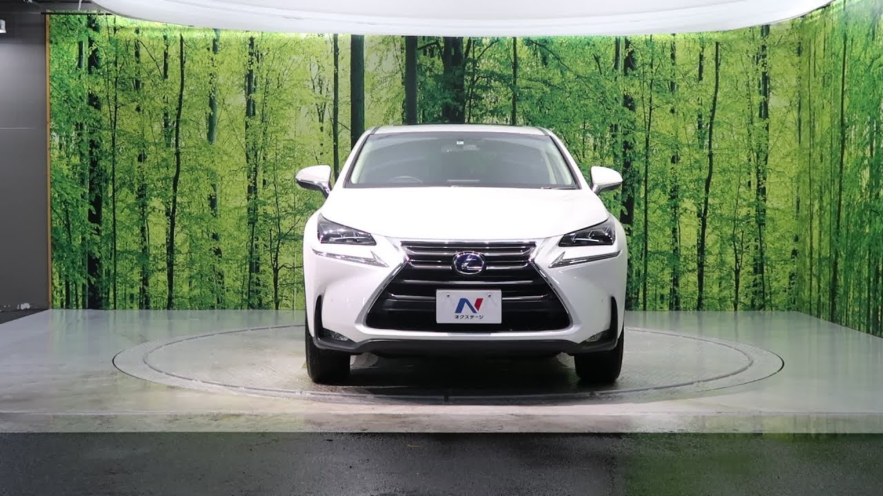 品揃え豊富で レクサスnx Iパッケージ 国内自動車本体 Www Villanideluca Com