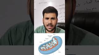 • Cell Organelles Explained in 10 Minutes 🔬 (Class 9 Science) • Cell Organelles Made Easy