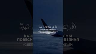 Красивое чтение Корана