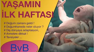 Yaşamın Birinci Haftası (Gebelik, Lohusalık ve Yenidoğan Bebek Bakımı...)