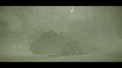 Shadow of the Colossus (Ps4) Hard Time Attack - Boss #1 (Valus)
