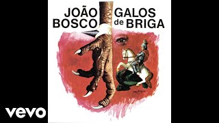 Video thumbnail of "João Bosco - Galos De Briga (Pseudo Video)"