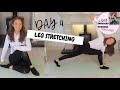 DAY 4 | 30 DAY IMPROVING TECHNIQUE CHALLENGE | LEG STRETCHING - for straight, flexible, high legs!