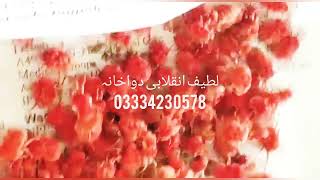 بیر بہوٹی عروسک کرم مخملی کی شناخت اور فوائد لطیف انقلابی دواخانہ