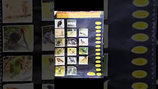 📚 D.el.ed TLM For EVS(Class 1 to 5) || Environmental Science TLM || TLM for Primary level internship