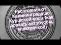 Расстояние от Калининграда до Куршской косы (как доехать автобусом, электричкой)