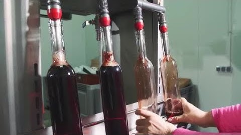 Bottling Wine Stock Video