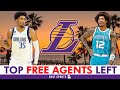 Top NBA Free Agents Available For The Los Angeles Lakers To Sign Ft. Christian Wood &amp; Kelly Oubre Jr