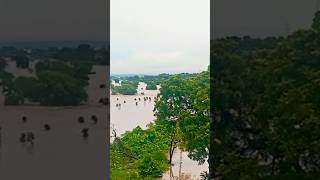 weather disaster 🌧️🌊😱#weather #climate #viral #trending #shorts
