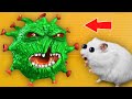 🦠 Virus - Hamster Maze with Traps ☠️[OBSTACLE COURSE]