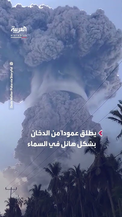    ---       
 - نشر قبل 8 دقيقة